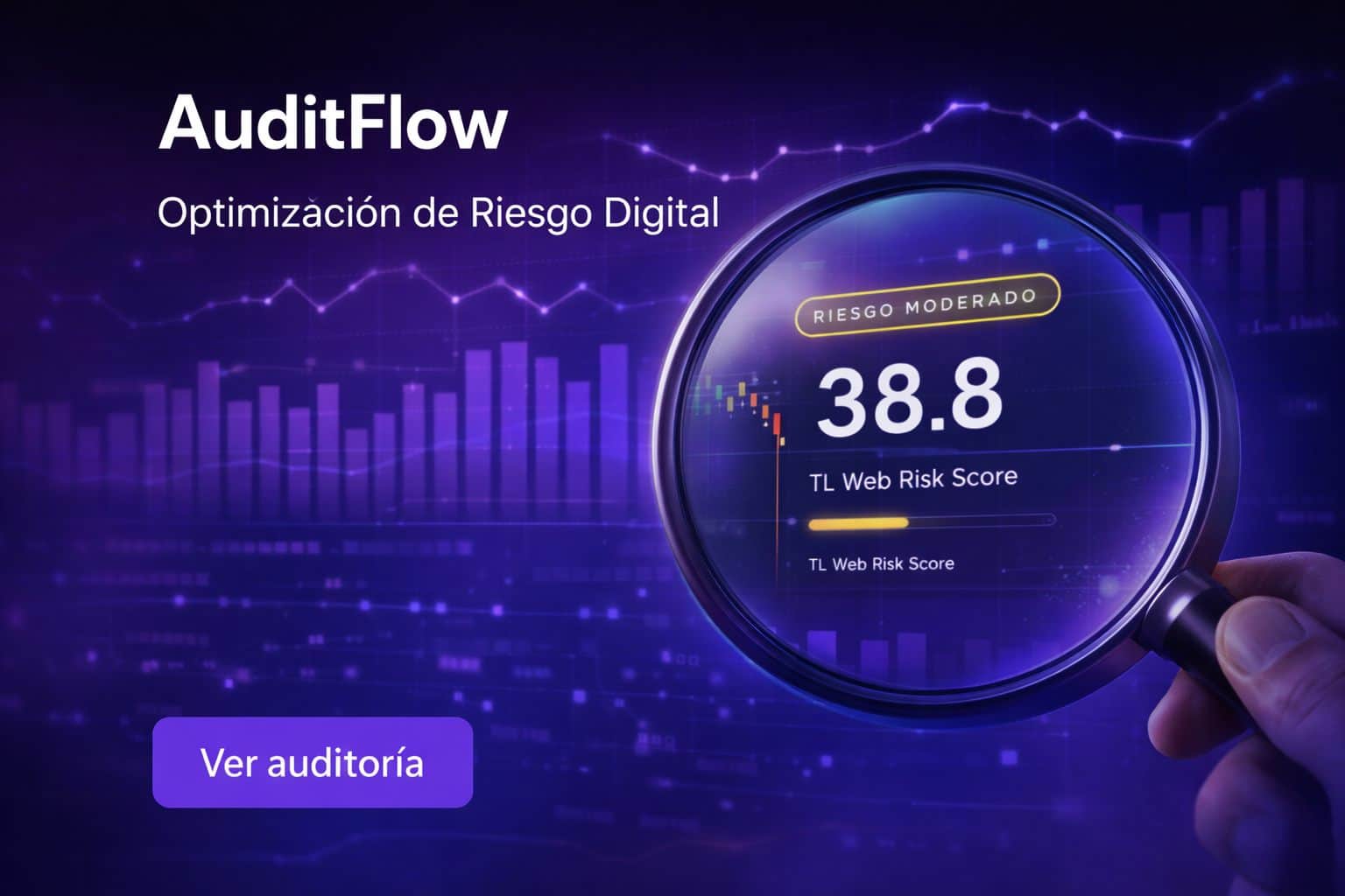 A technical dashboard view with performance and security metrics for website audits.